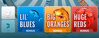 Choose Your Bets Choose Your Bets